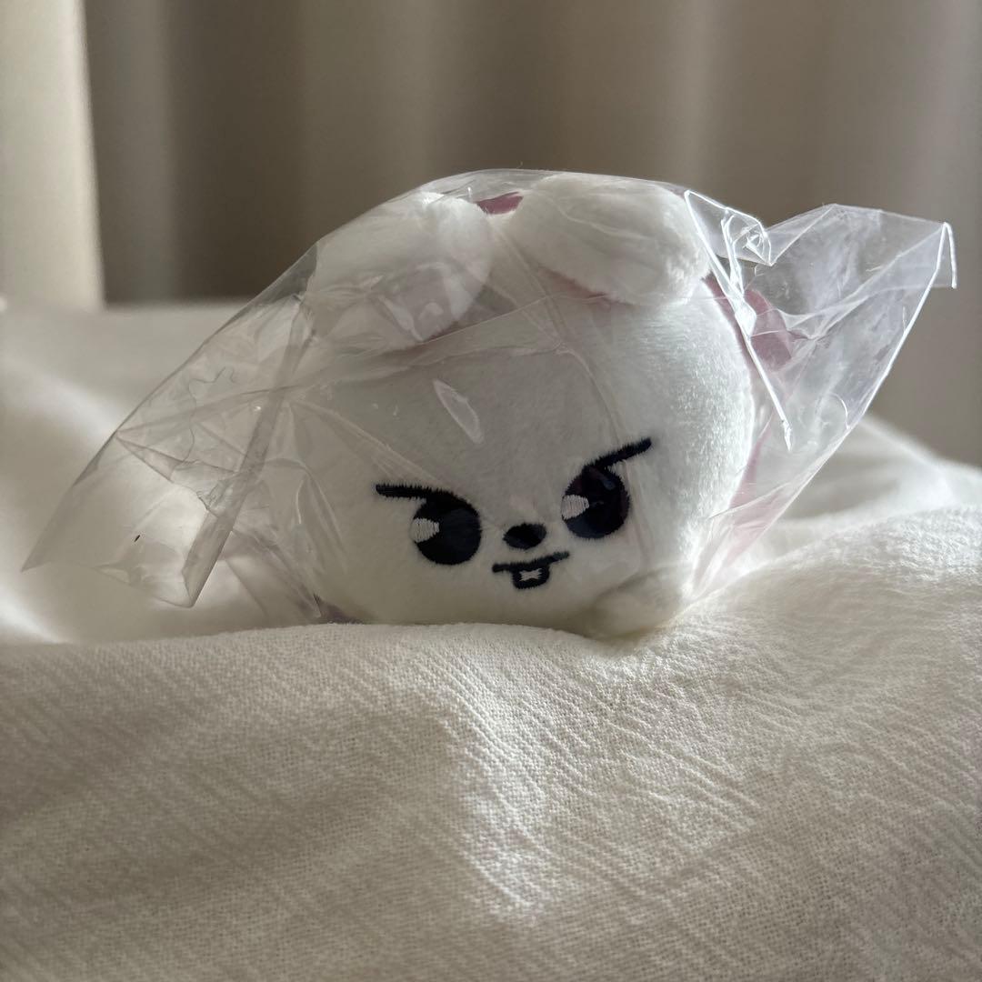stray kids Leebit リノ ぬいぐるみ うちわカバー セット