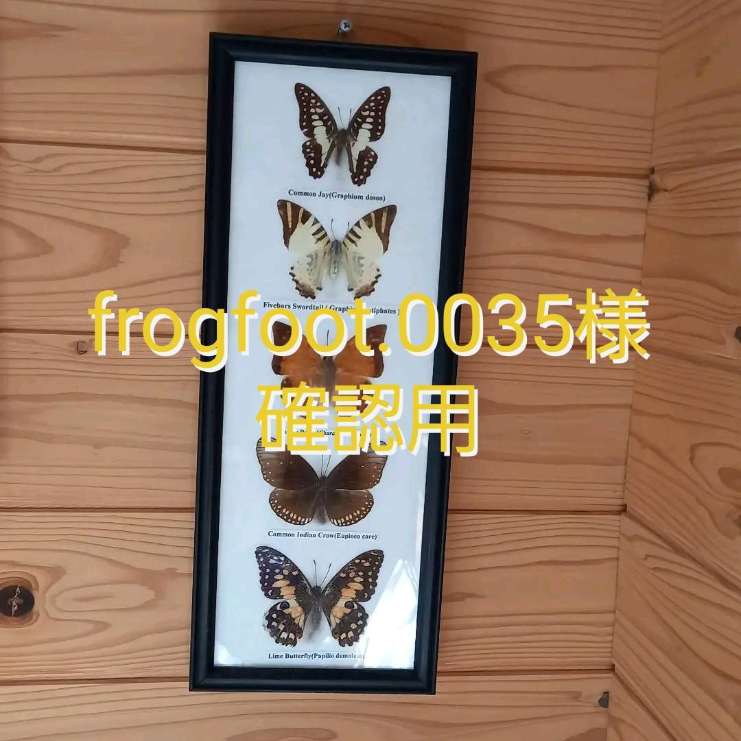 frogfoot.0035様 確認用