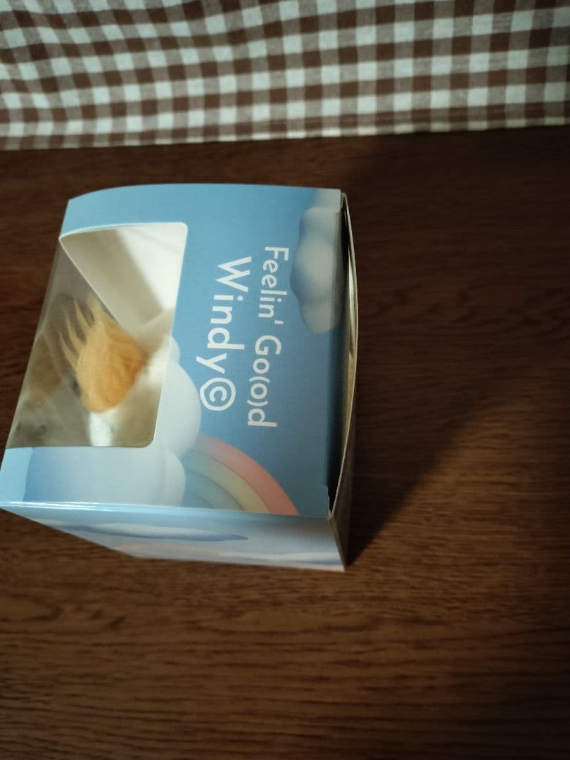 藤井風　ウィンディ　windy　ウィンディちゃん