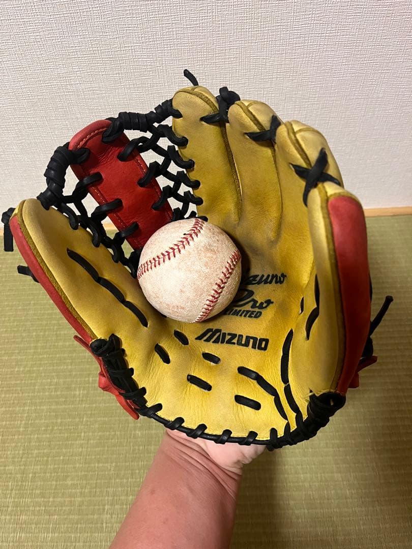 ミズノプロ LIMITED 限定モデル MizunoPro内野用 硬式グローブ
