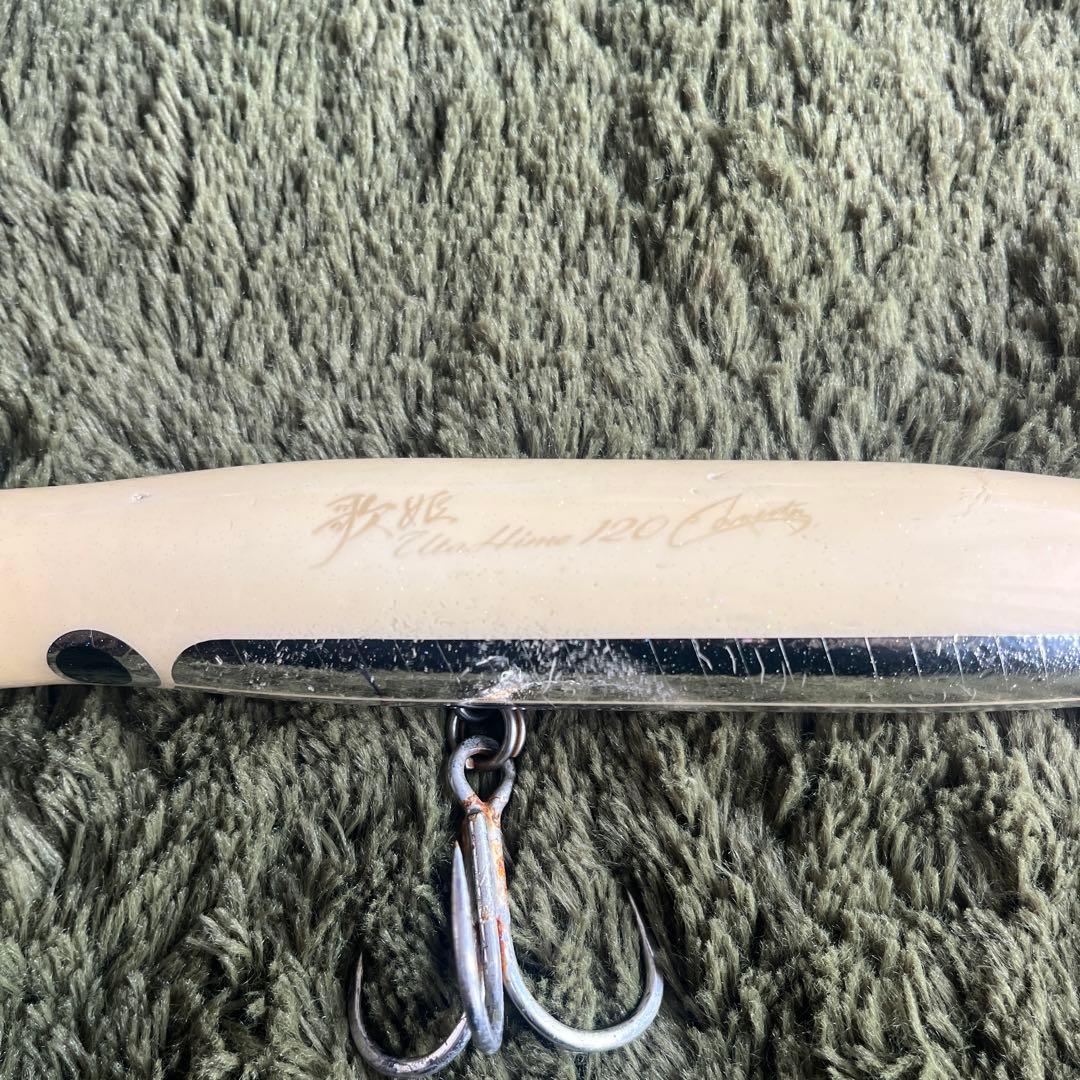 カーペンター　歌姫 120