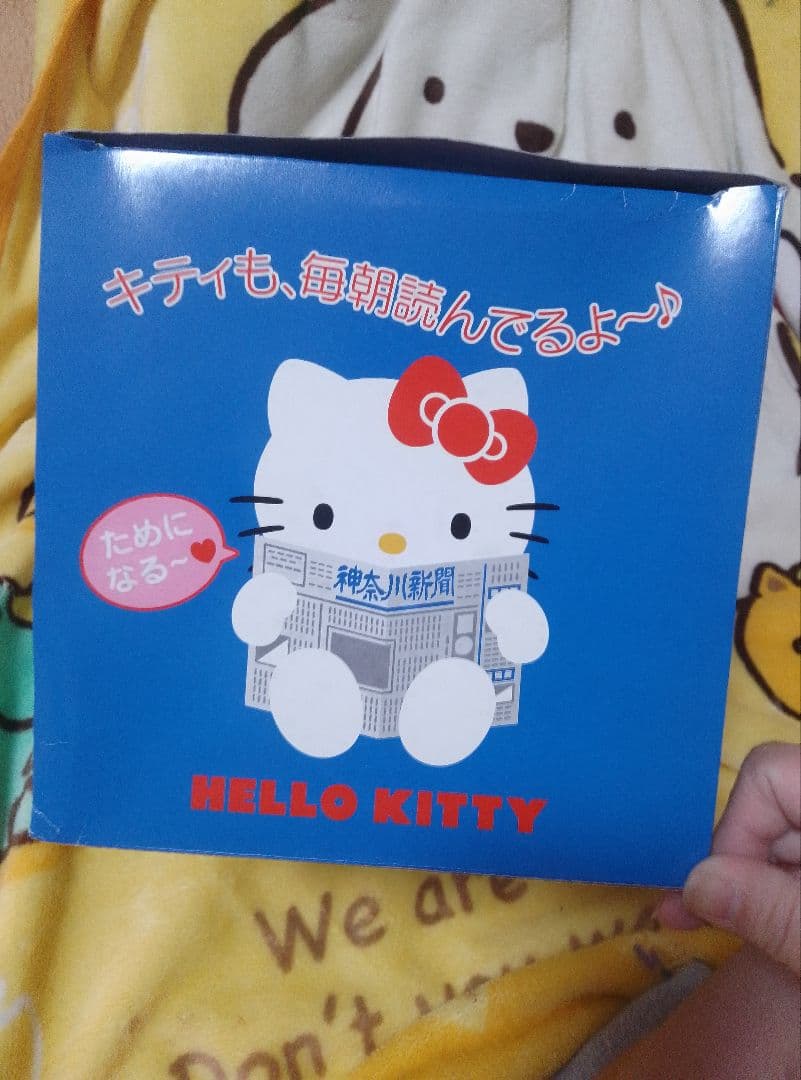 【希少】ハローキティ ぬいぐるみ 神奈川新聞 限定品 サンリオ