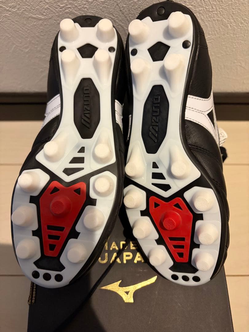 MIZUNO モレリア　22.0