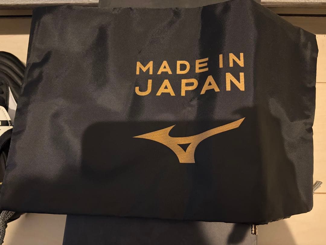 MIZUNO モレリア　22.0