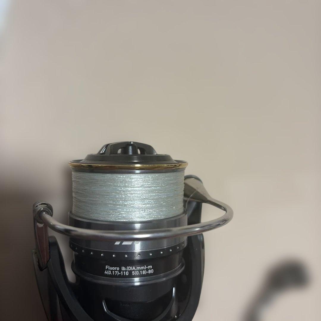 DAIWA STEEZ type-II Hi-SPEED スピニングリール