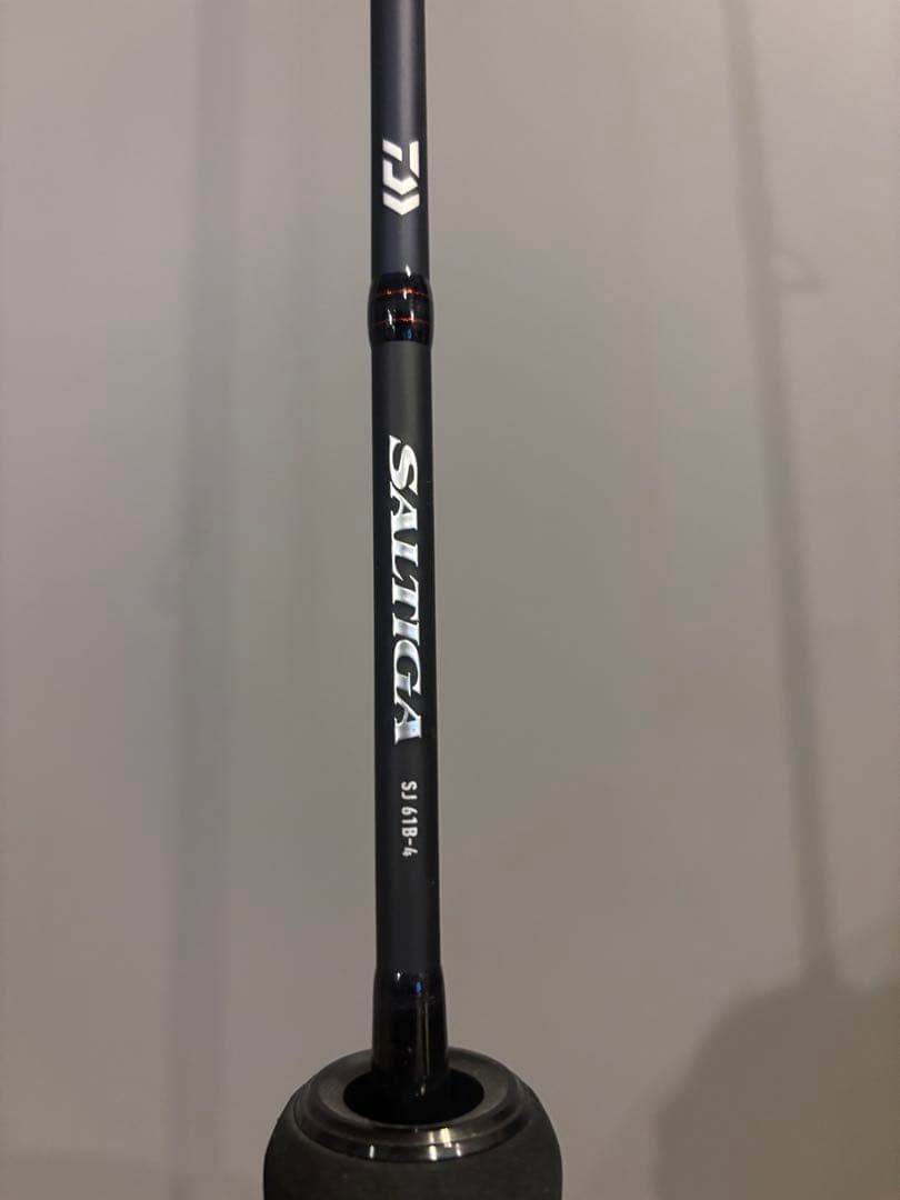 ロッド Daiwa SALTIGA SJ61B-4