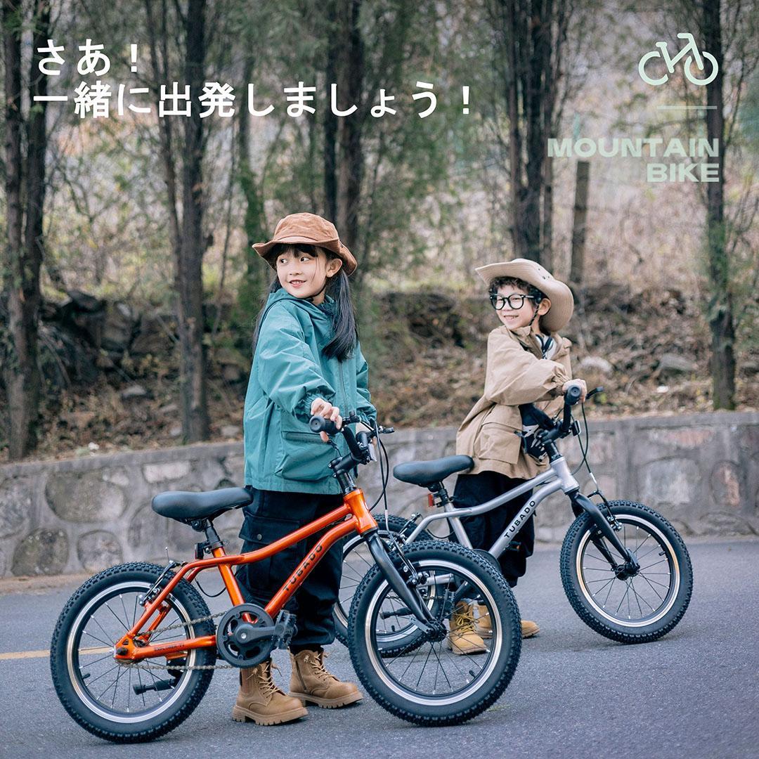 ACEXIS 子供自転車 16インチ 超軽量アルミ本体8.8kg Silver