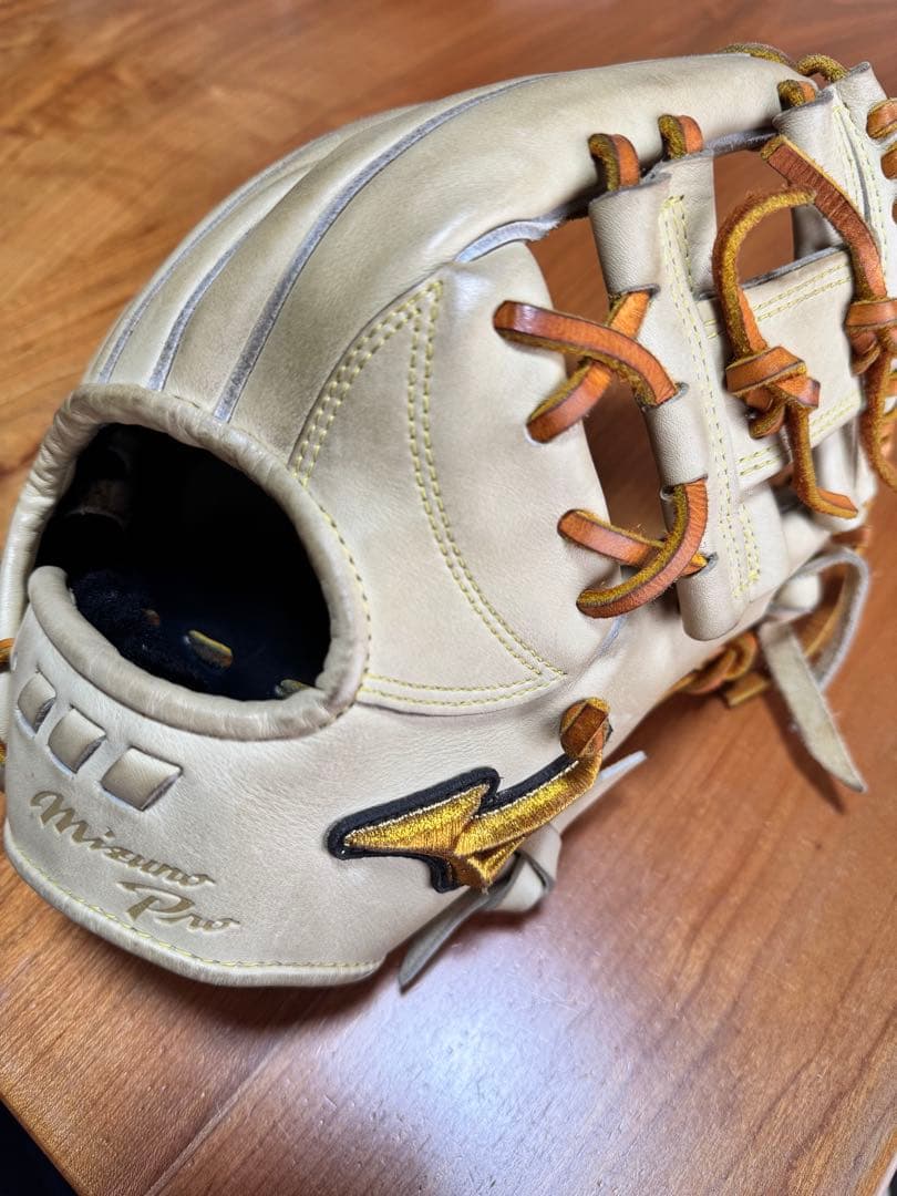 ミズノプログローブ
