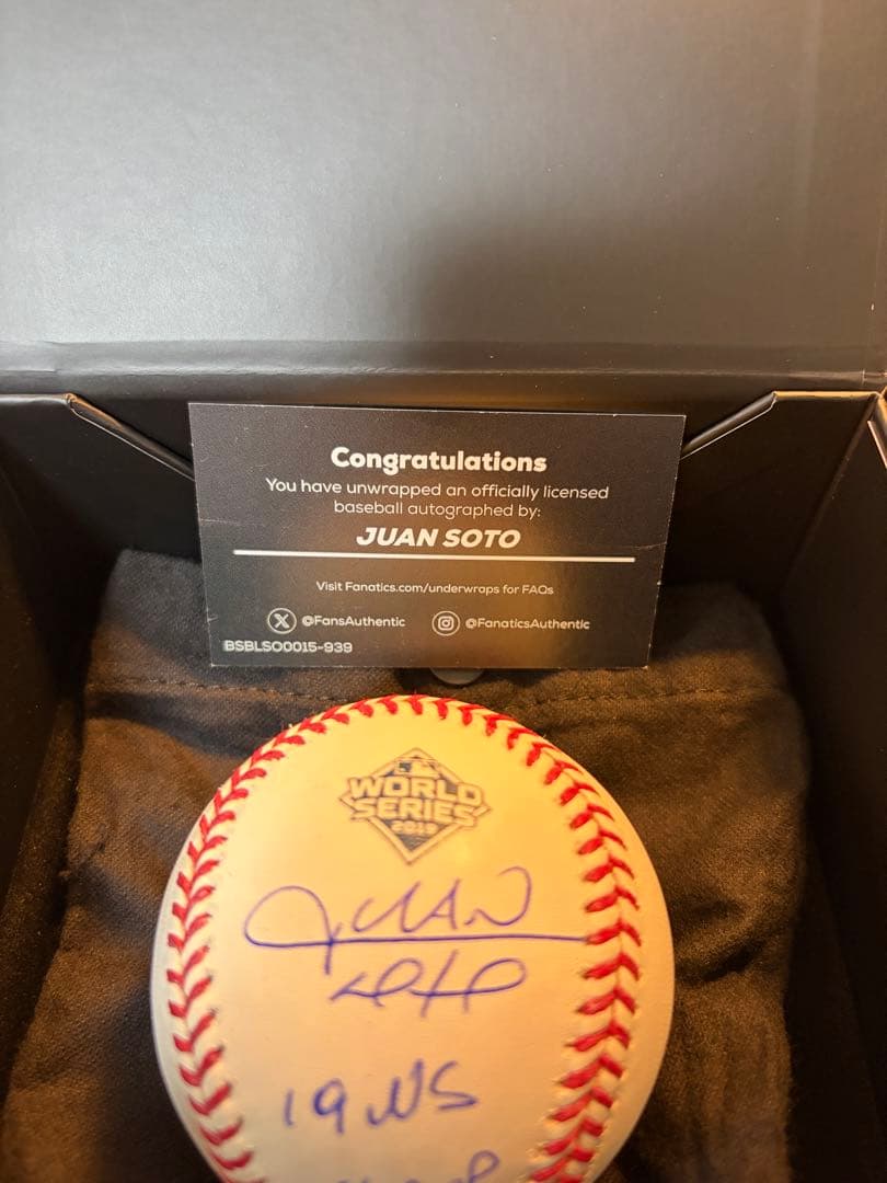 MLB公式ホログラム付JUAN SOTOサイン入り公式野球 19WS Champ