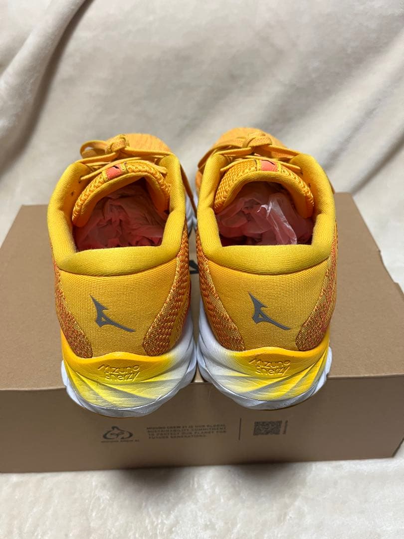 Mizuno Wave Rider 27 SW サイズ27.0cm USED美品
