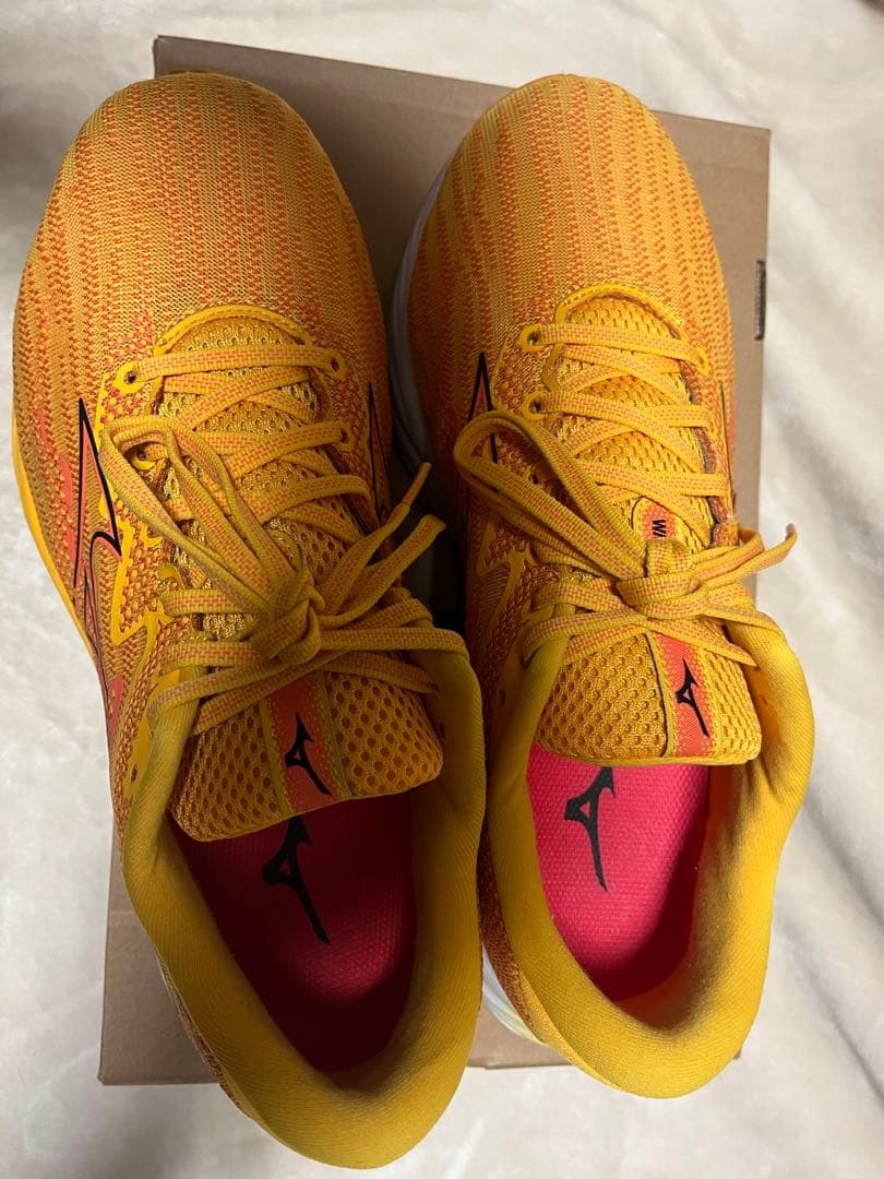 Mizuno Wave Rider 27 SW サイズ27.0cm USED美品