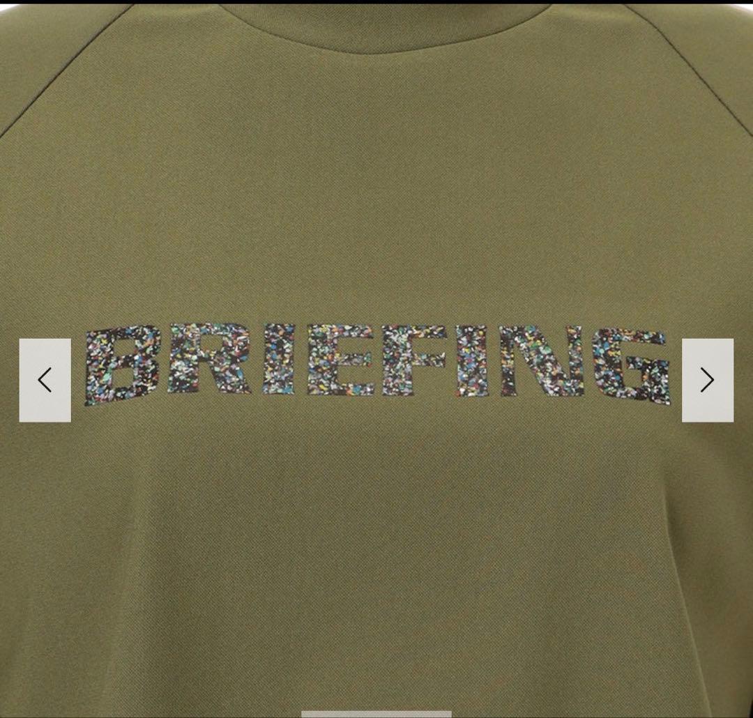 新品　BRIEFING WS EARTH HIGHNECK RF