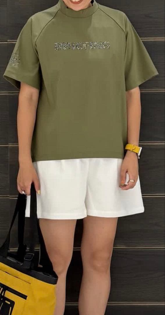 新品　BRIEFING WS EARTH HIGHNECK RF