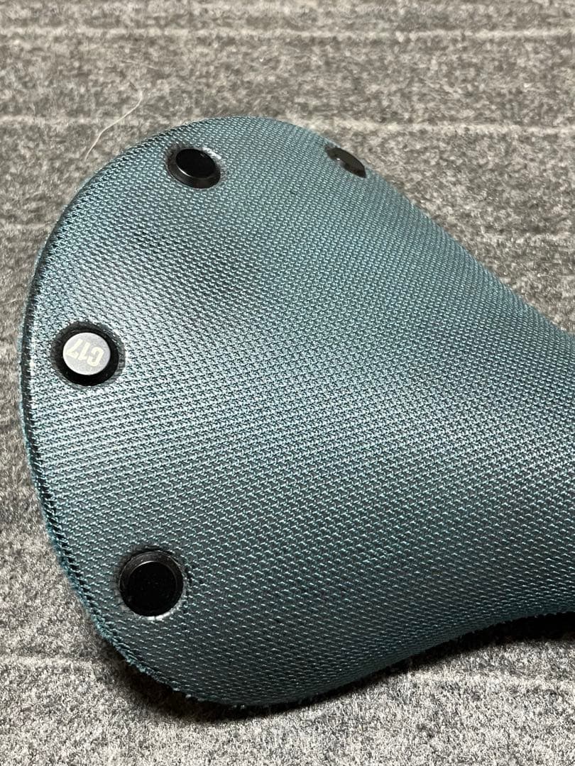 パーツ BROOKS cambium C17 all weather (octane)