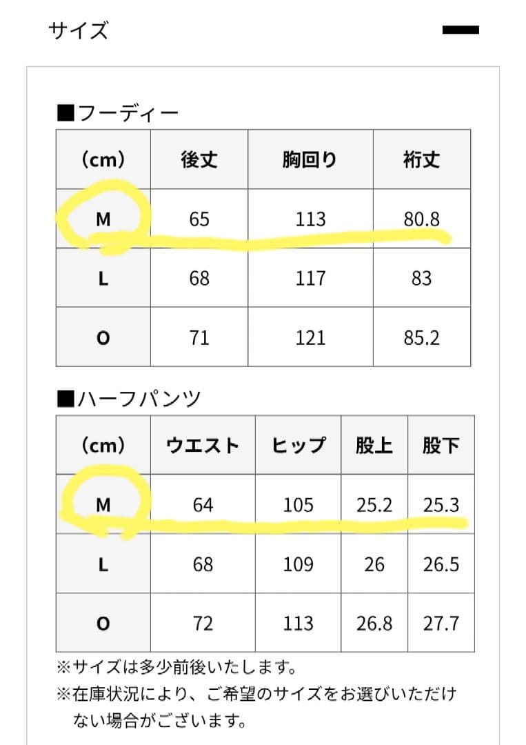 楽天イーグルス　ファンクラブ2026　ミズノ製 フーディーセットアップ Mサイズ