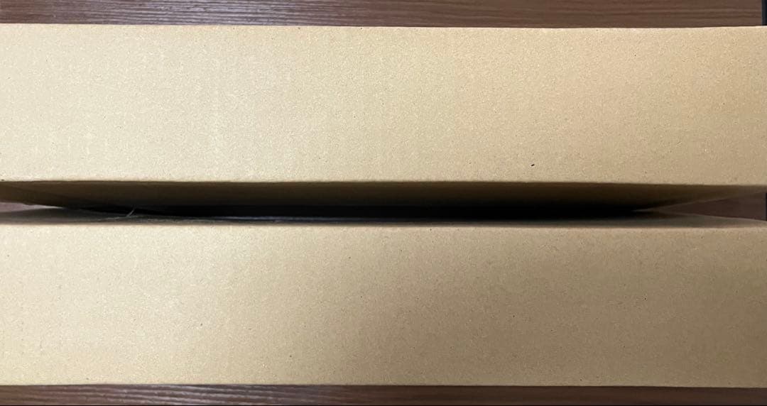 2023 WBC 大谷翔平(投手・打者)ダブルフォトミント セット販売