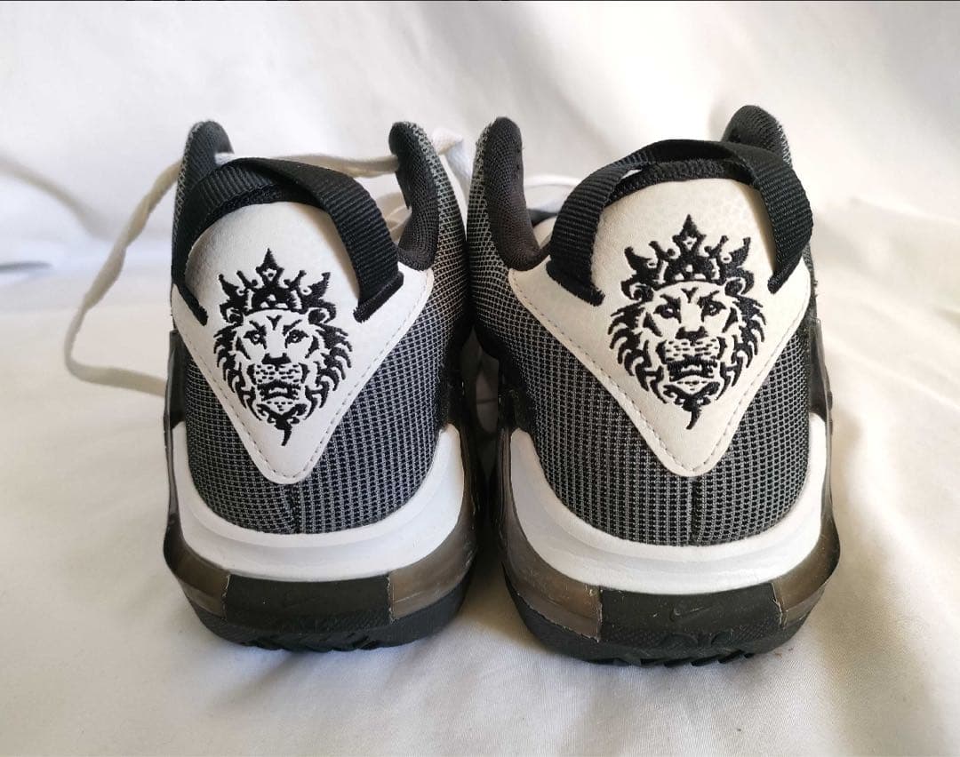 ナイキ NIKE レブロンウィットネス 7 EP バスケット シューズ 25cm