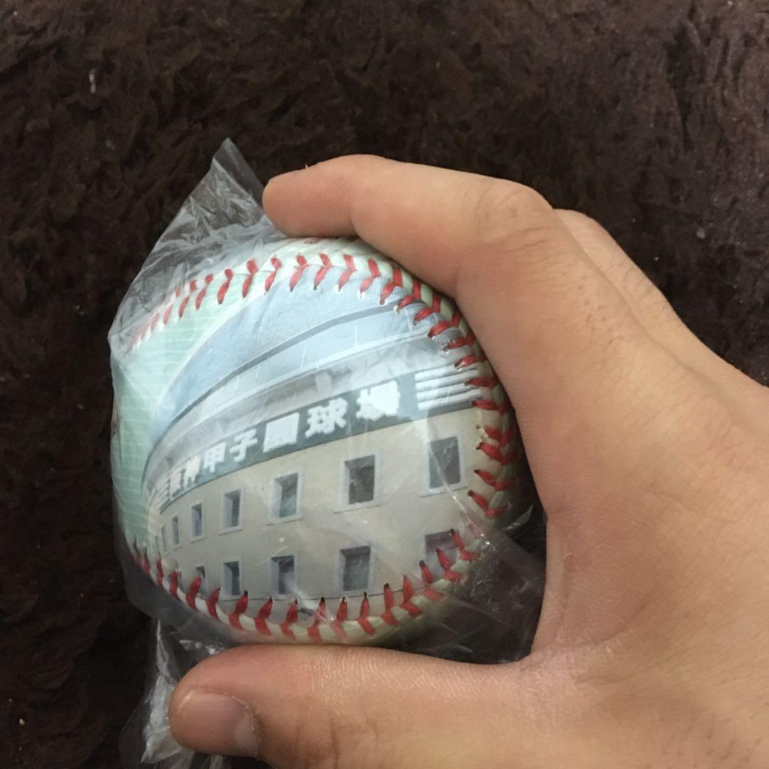 高校野球記念ボール（第91回全国高校野球選手権大会）