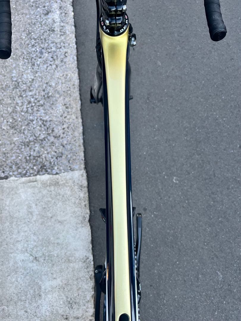 enve  デローザ アイドル 2019