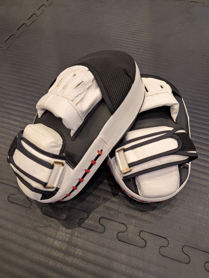 Fairtex フェアテックス　フォーカスミット 黒/白