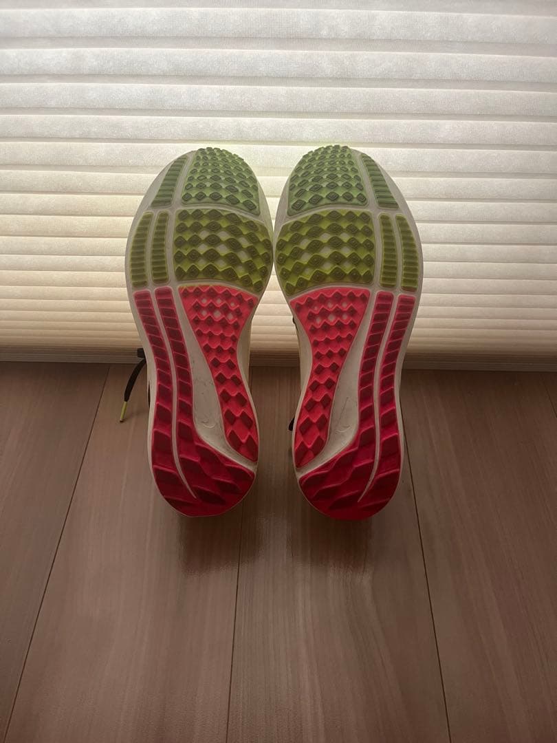 ナイキ ペガサス40プレミアム \"EKIDEN\" 25.5cm