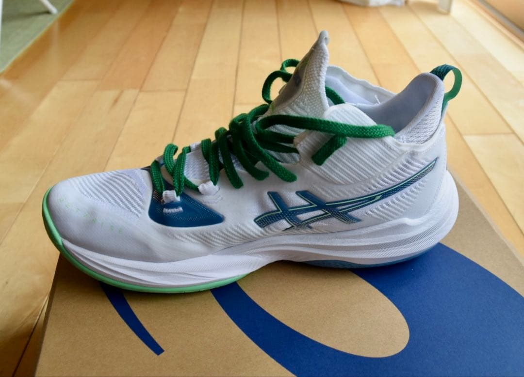 ASICS RISE2 27.5cm 1回着用　美品　箱付き