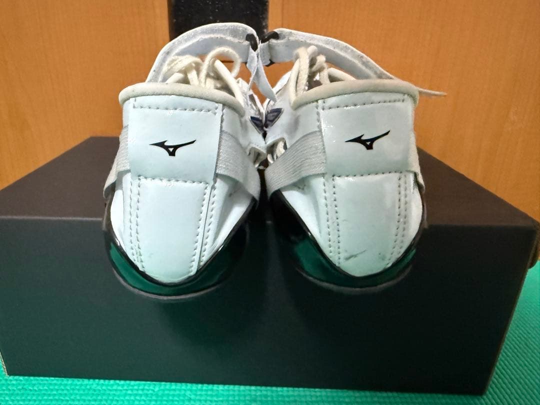 MIZUNO クロノインクスネオジャパン 28cm