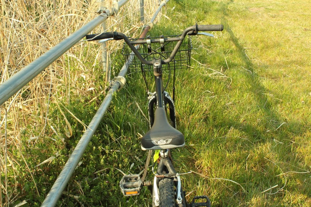 SE BIKES SO CAL FLYER 24 ソーカルフライヤー BMX