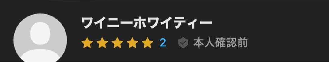 美品【WILD-1限定】スノーピーク エクスクルーシブファミリーセット　テント