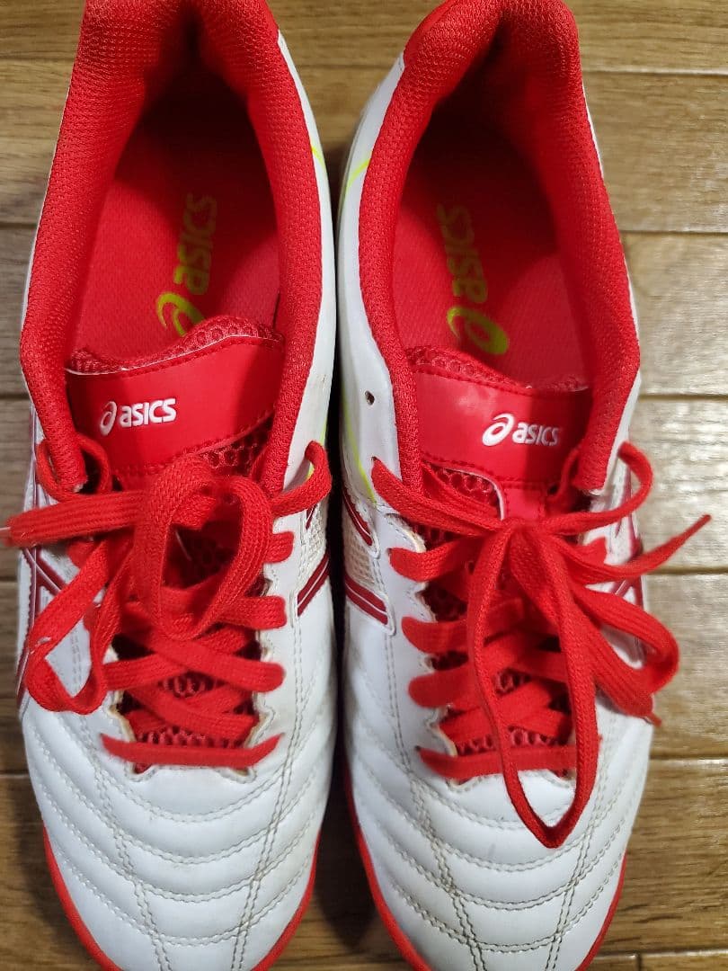 ASICS DSライト x-fly 25.5cm