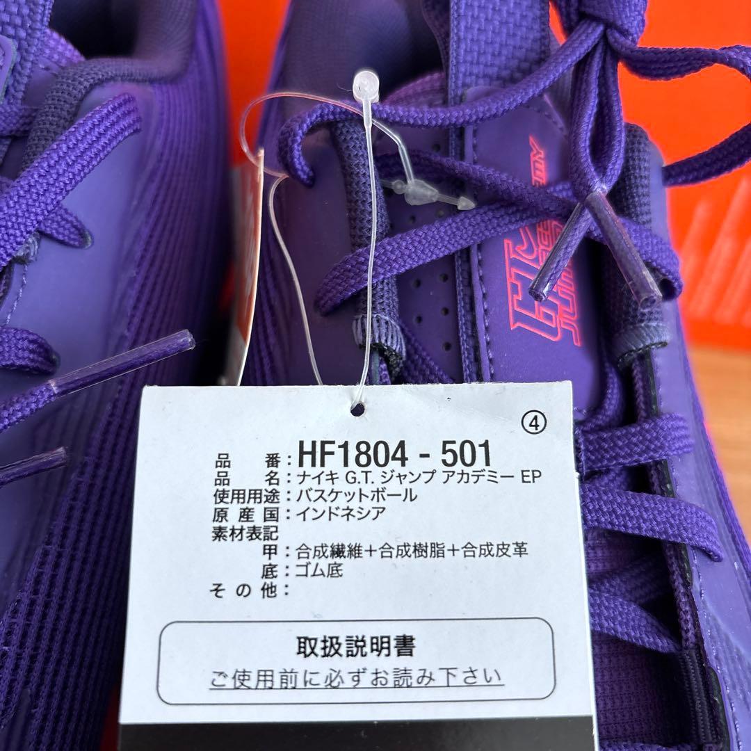 26cm　ナイキ　バスケットボール　GTジャンプ アカデミー EP HF1804