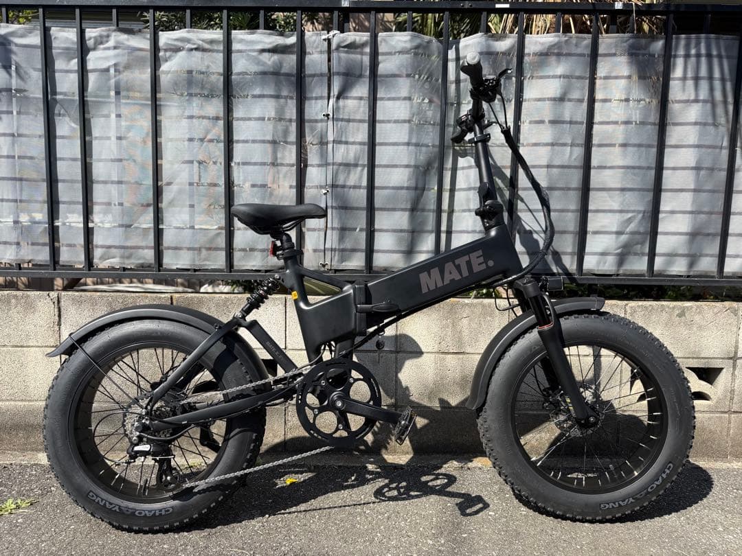 【極美品】現行最新最上位モデル MATE X EVO 2025年モデル
