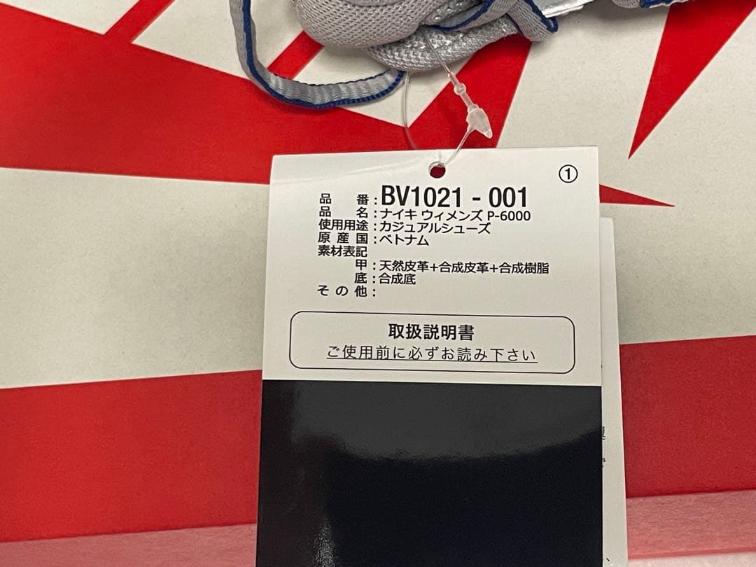 NIKE W P 6000 シルバー28.5
