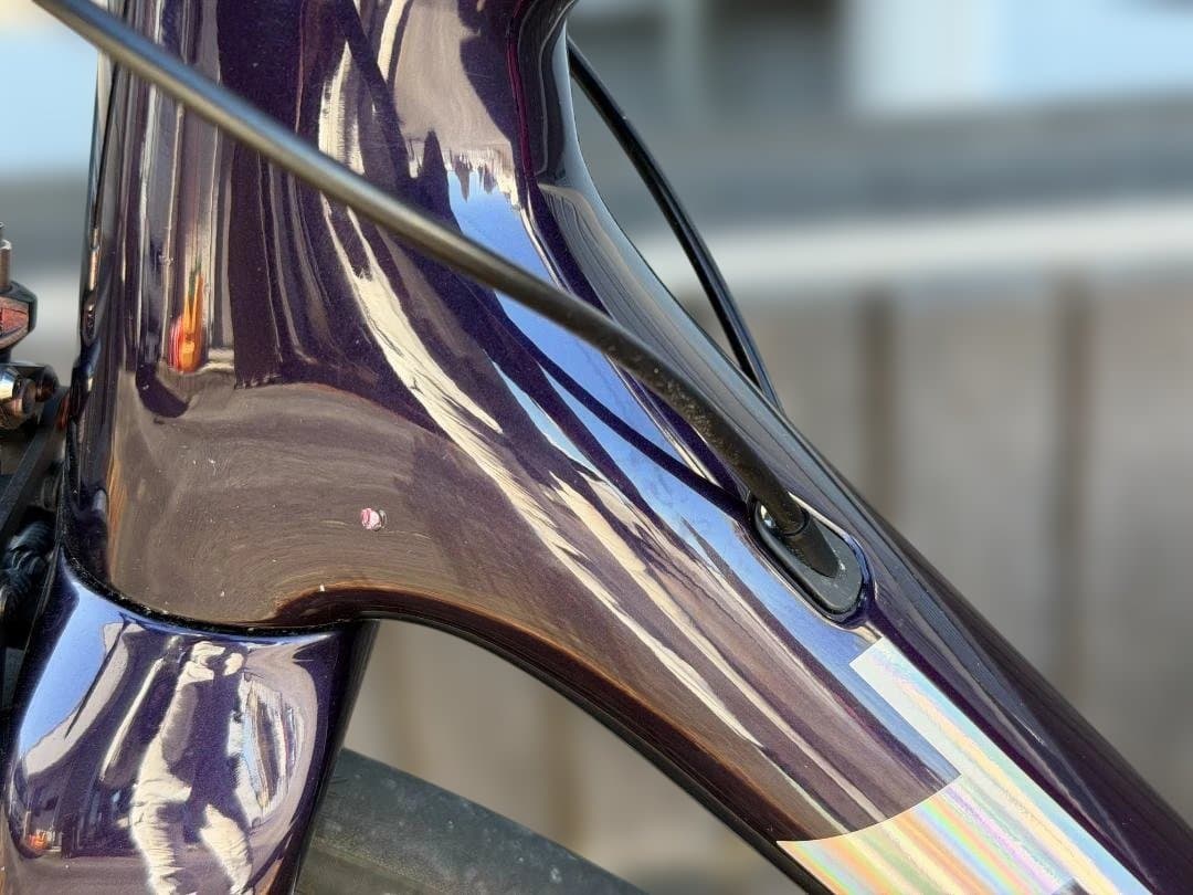 TREK EMONDA SL6 2019年モデル サイズ54 Duraホイール