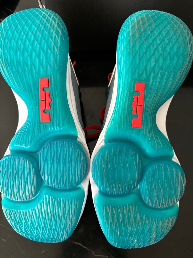 NIKE レブロン　バスケットボールシューズ　バッシュ