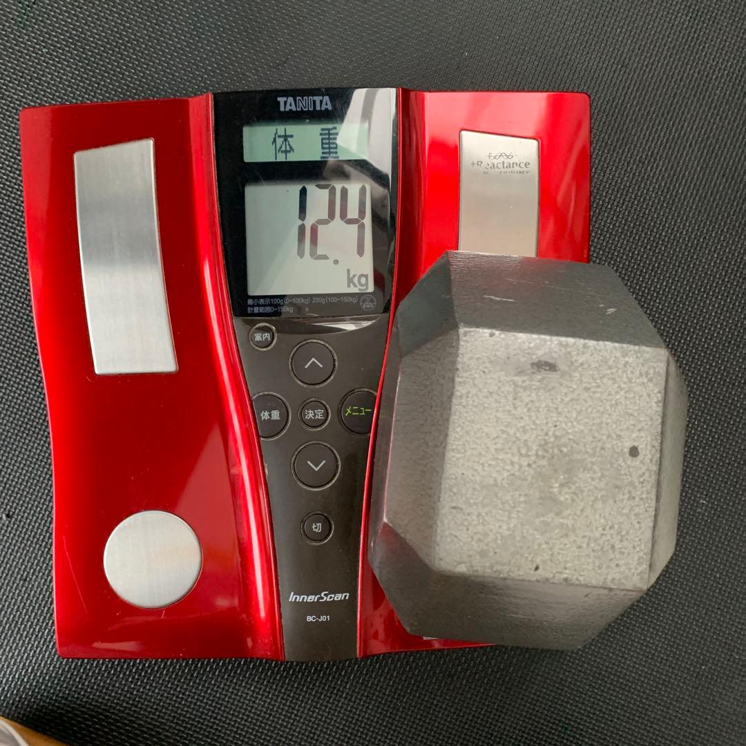 ブロックウエイト　12.4kg