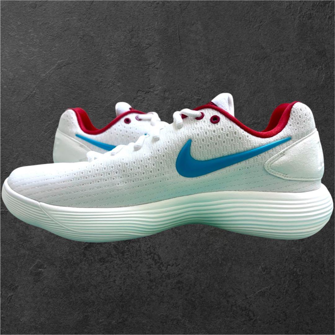 日本 未発売 28.5 NIKE ナイキ ハイパーダンクロー 2017 ドラゴン