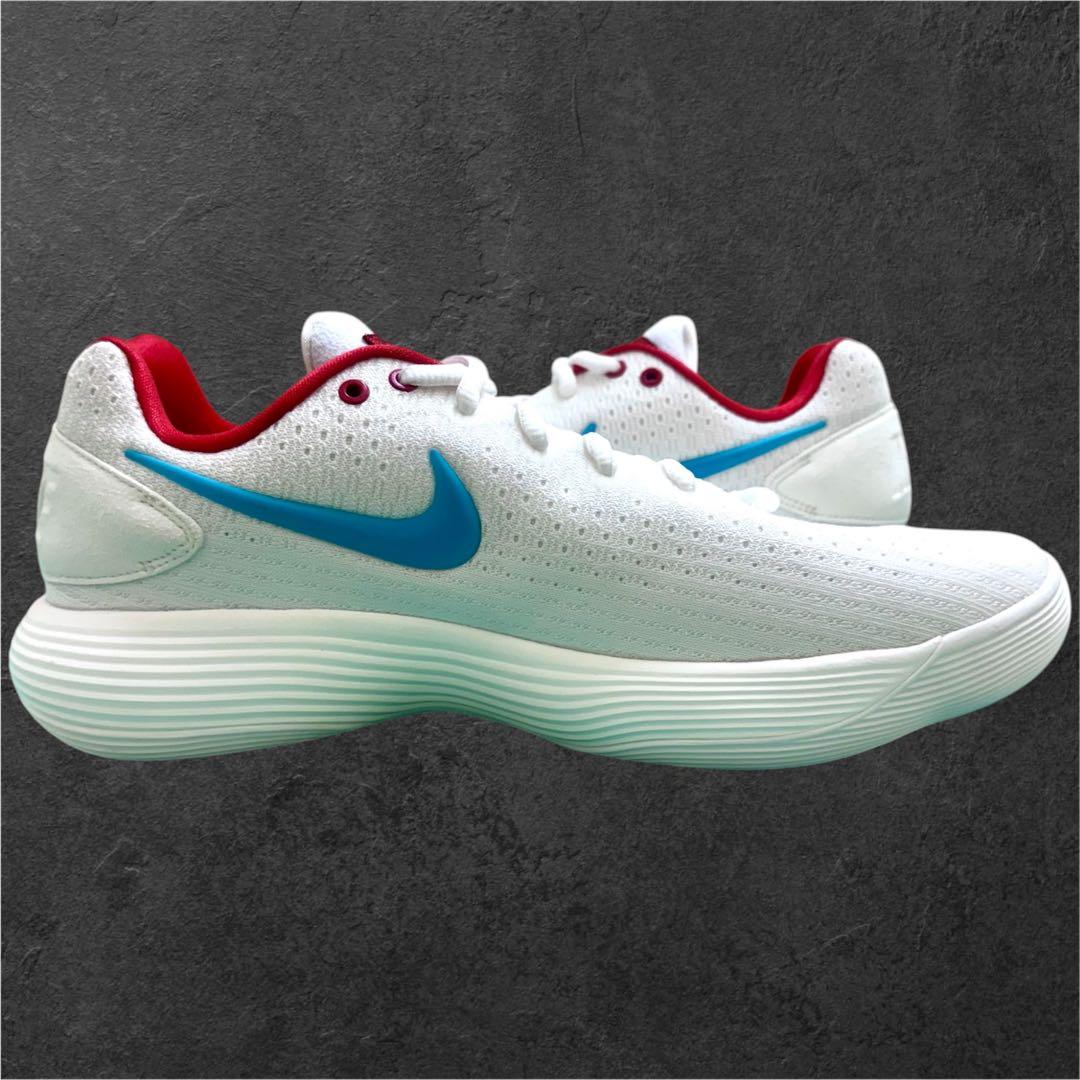 日本 未発売 28.5 NIKE ナイキ ハイパーダンクロー 2017 ドラゴン