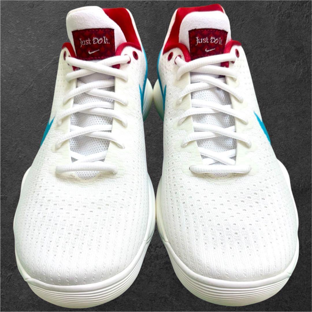 日本 未発売 28.5 NIKE ナイキ ハイパーダンクロー 2017 ドラゴン