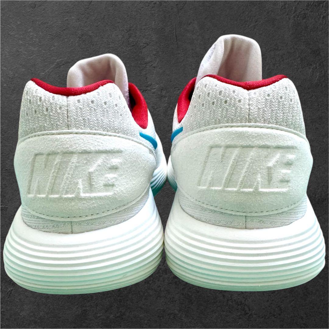 日本 未発売 28.5 NIKE ナイキ ハイパーダンクロー 2017 ドラゴン