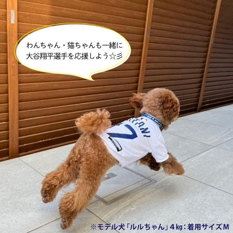 送料無料新品★犬の洋服ＭＬＢ公式ドジャース大谷翔平ユニホーム半袖ＴシャツＬ