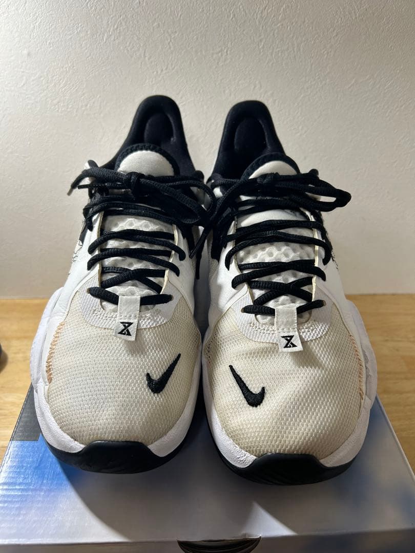 シューズ(男性用) Nike pg5