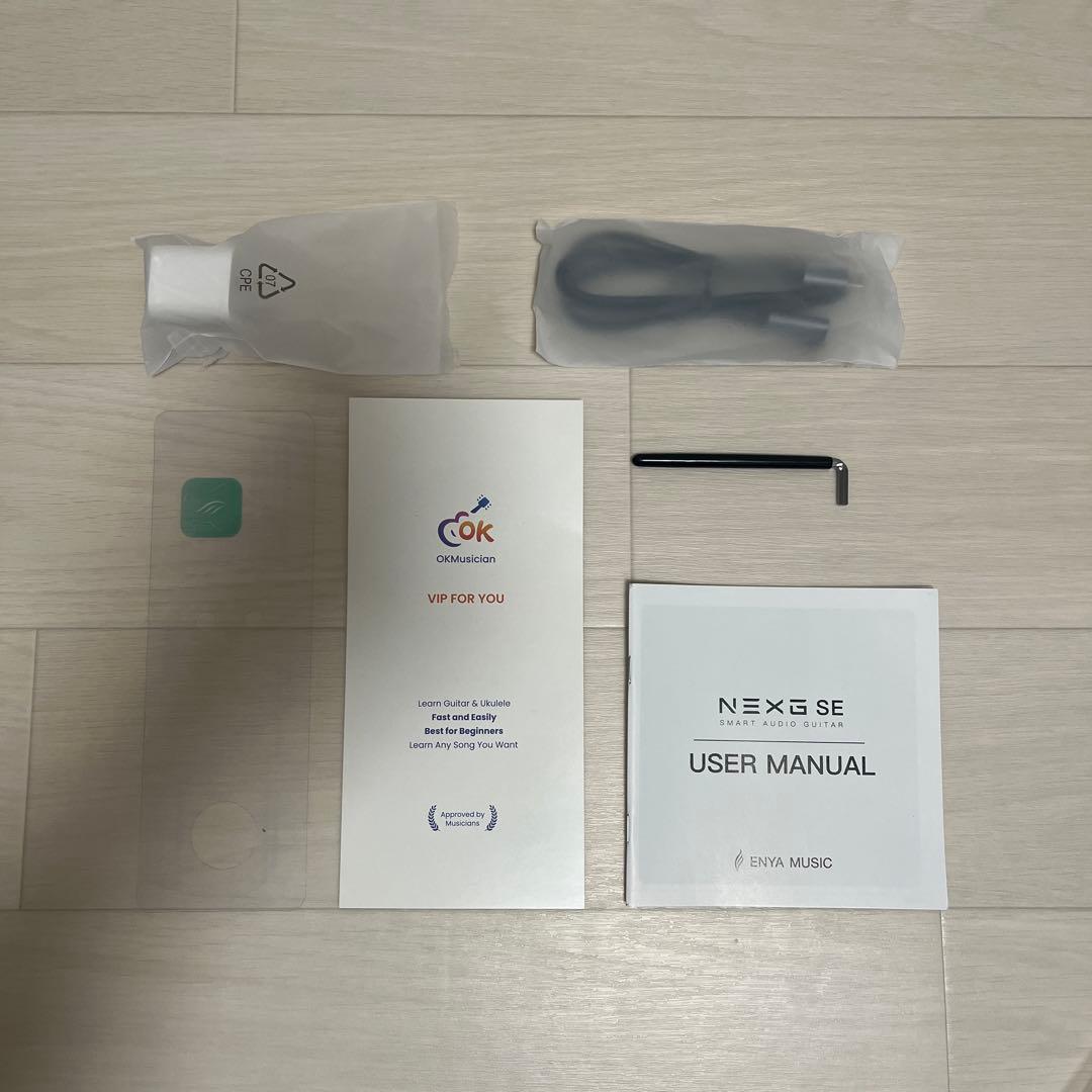 NEXG SE ギター