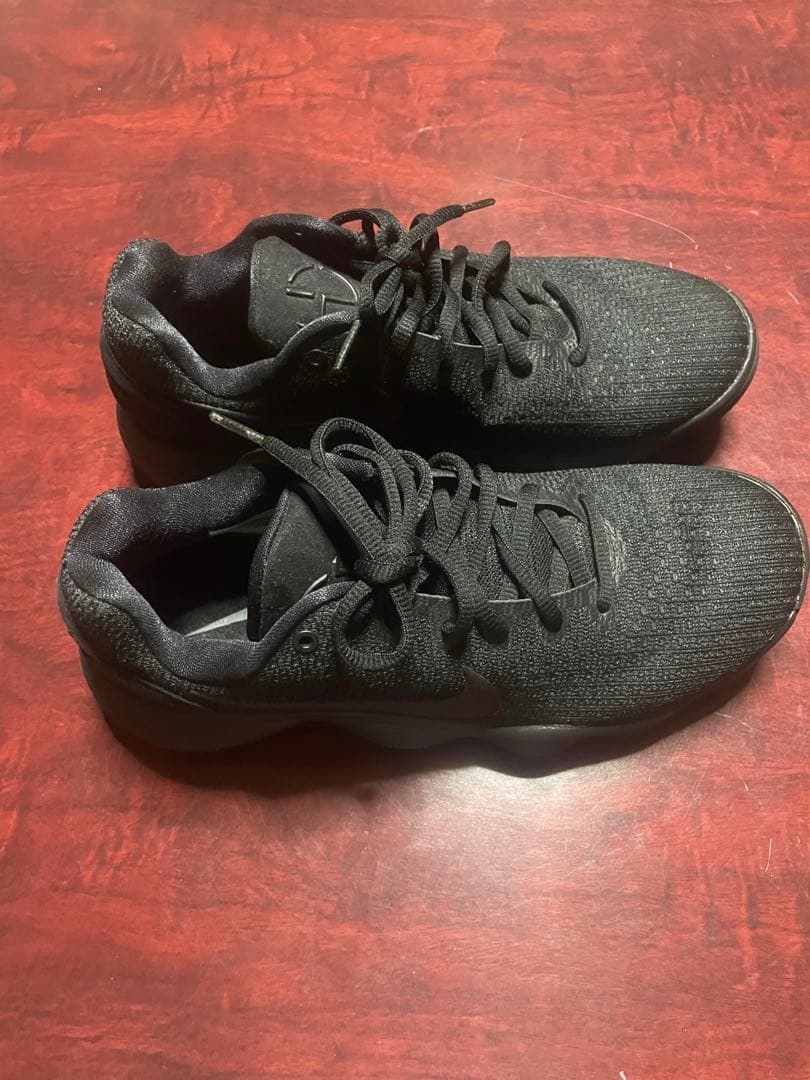 最終価格　NIKE ハイパーダンク LOW 2017