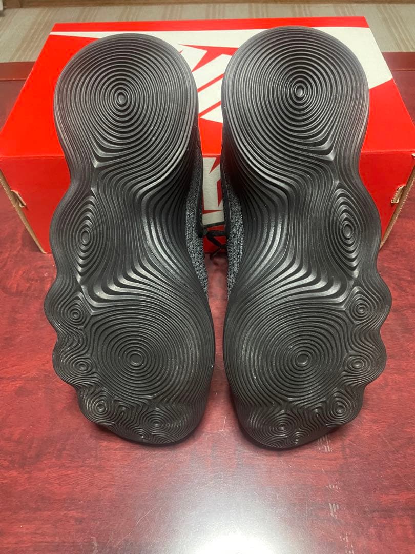 最終価格　NIKE ハイパーダンク LOW 2017