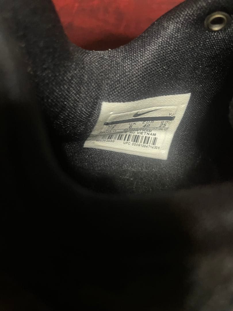 最終価格　NIKE ハイパーダンク LOW 2017
