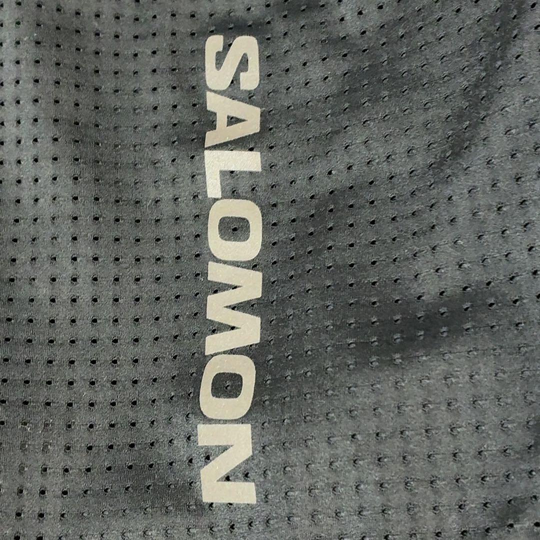 SALOMON PULSE 2(パルス 2)/フラスク付