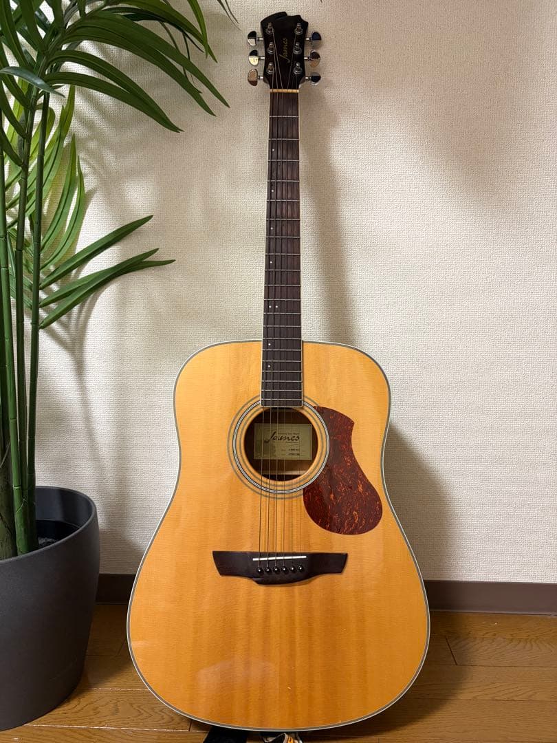 【美品】James J-300A NAT アコースティックギター　ソフトケース付