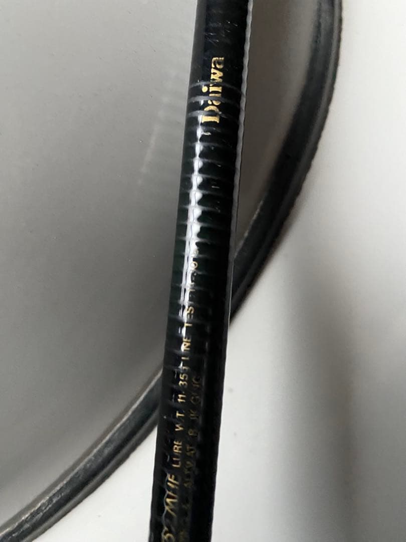 Daiwa phantom アモルファス　フリッピングロッド