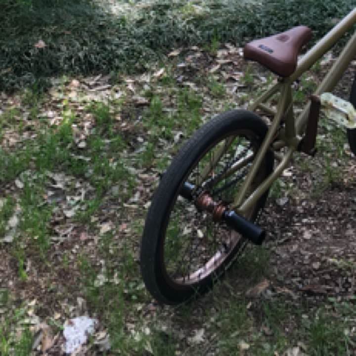 BMX  ルナフレーム
